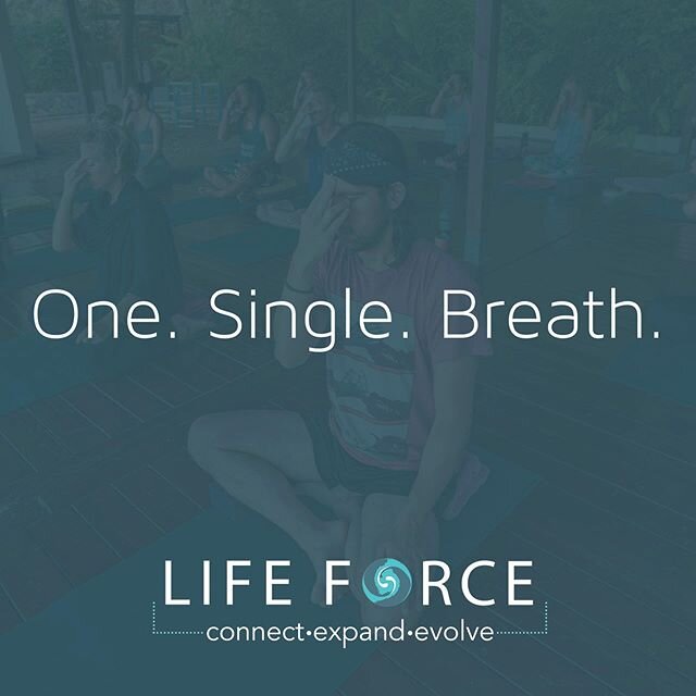 One breath at a time. One moment at a time. One step at a time. #connectexpandevolve #findyourforce
