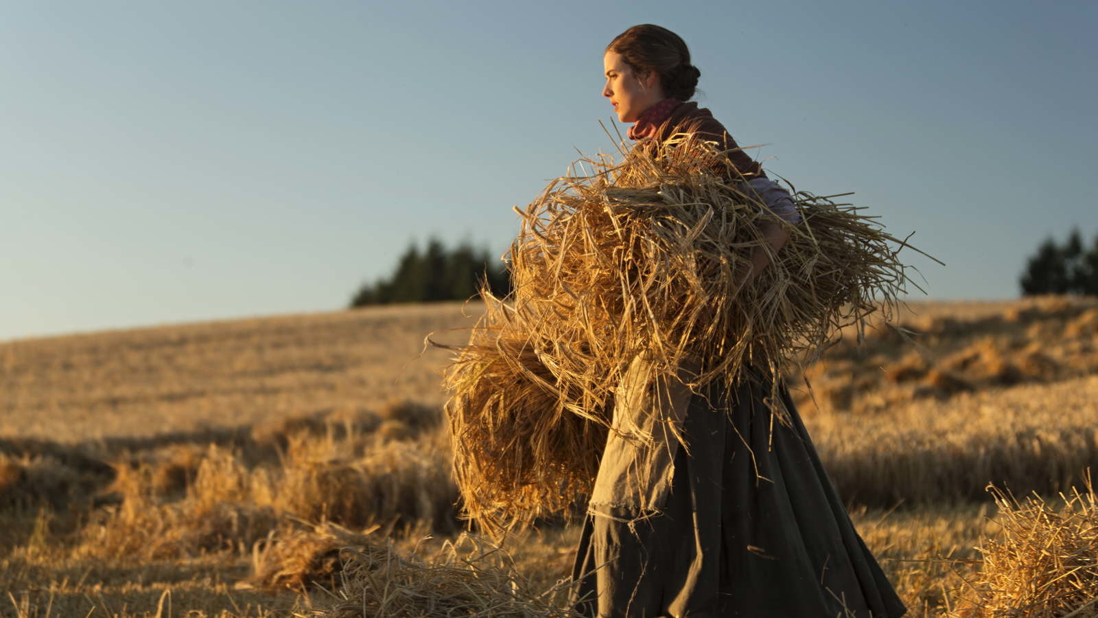 Sunset Song/ Magnolia Pictures