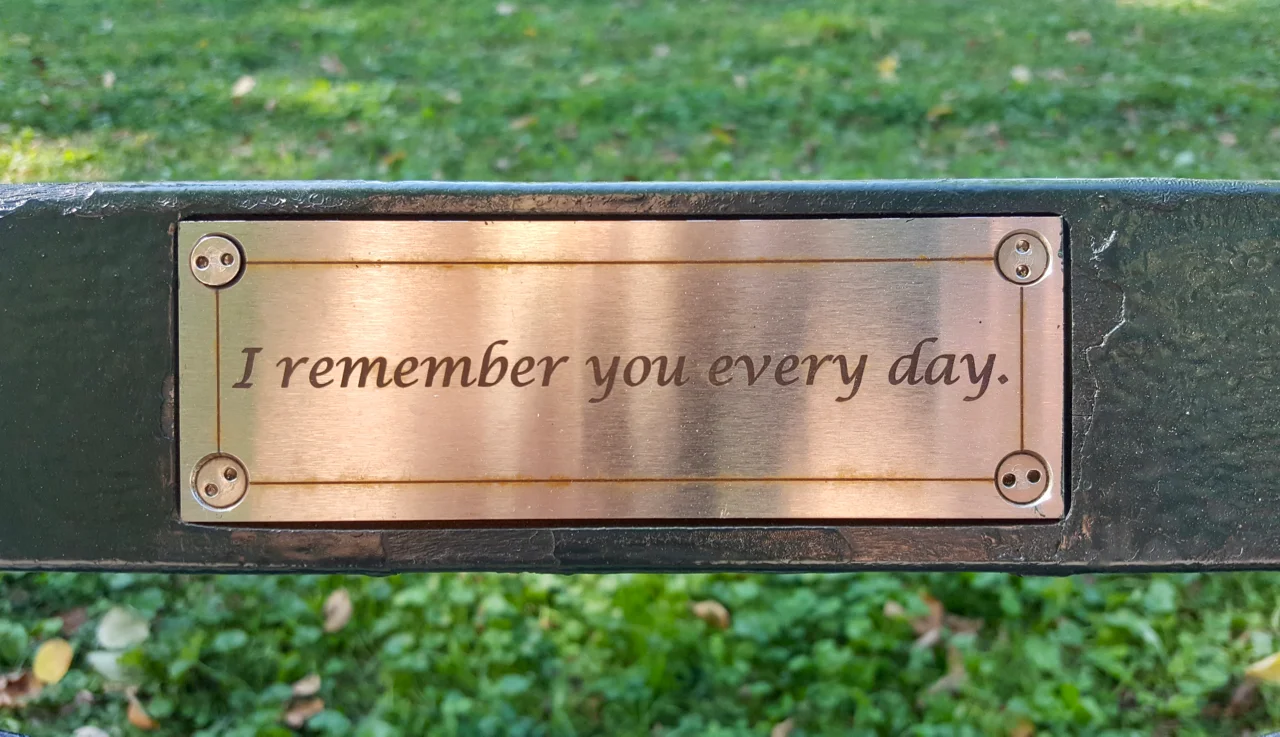 The Memorial Benches of Central Park — Raised by New York