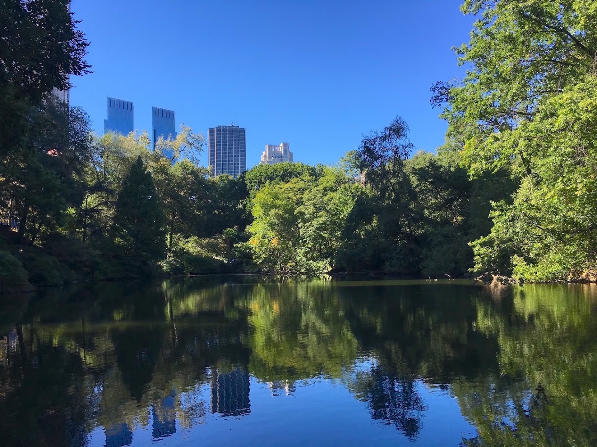 Central Park, The Green Lung of New York — Raised by New York