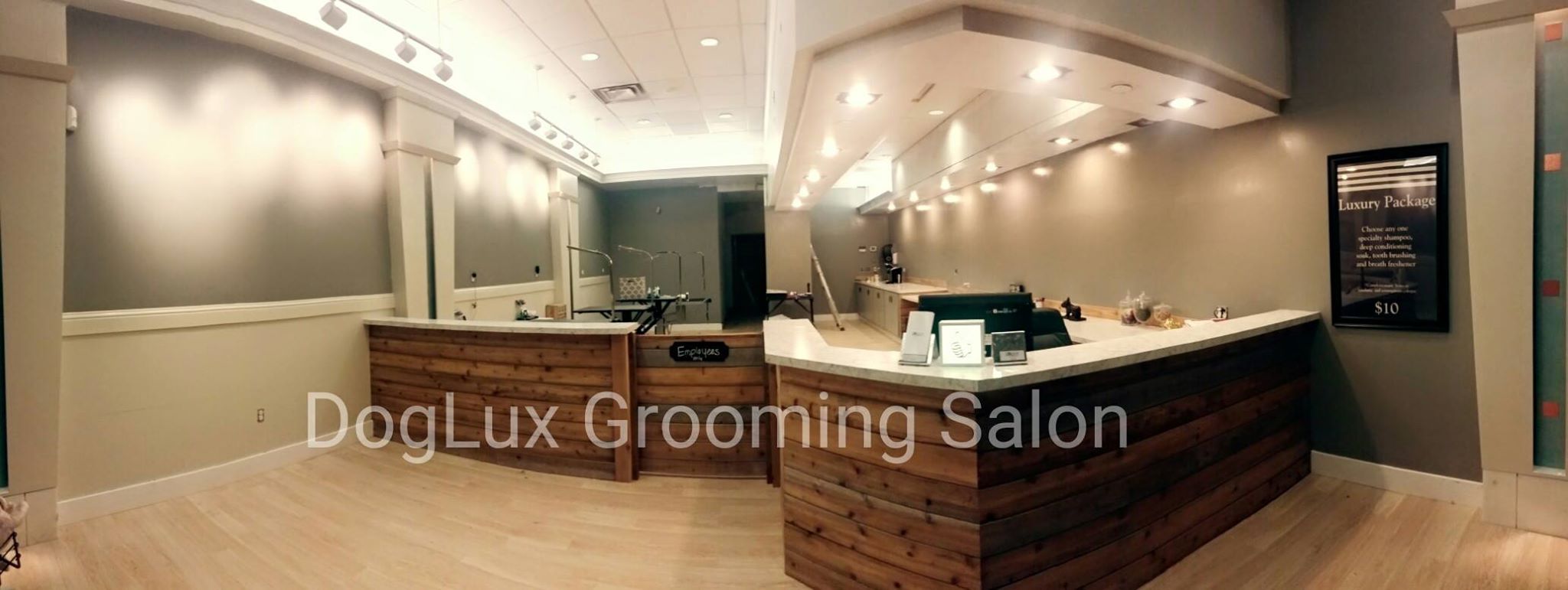 modern dog grooming salon