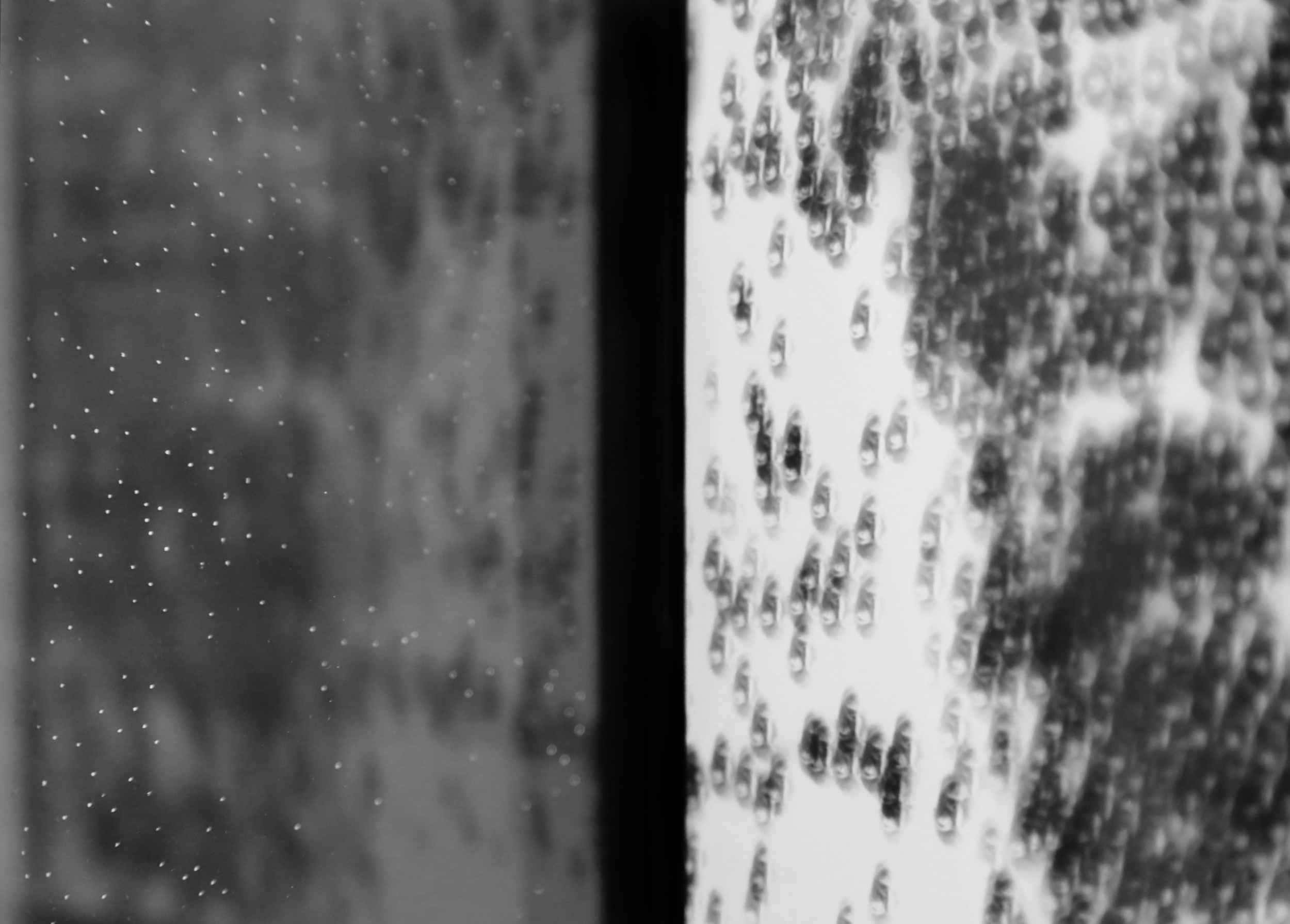  detail od multipinhole camera with negative paper    