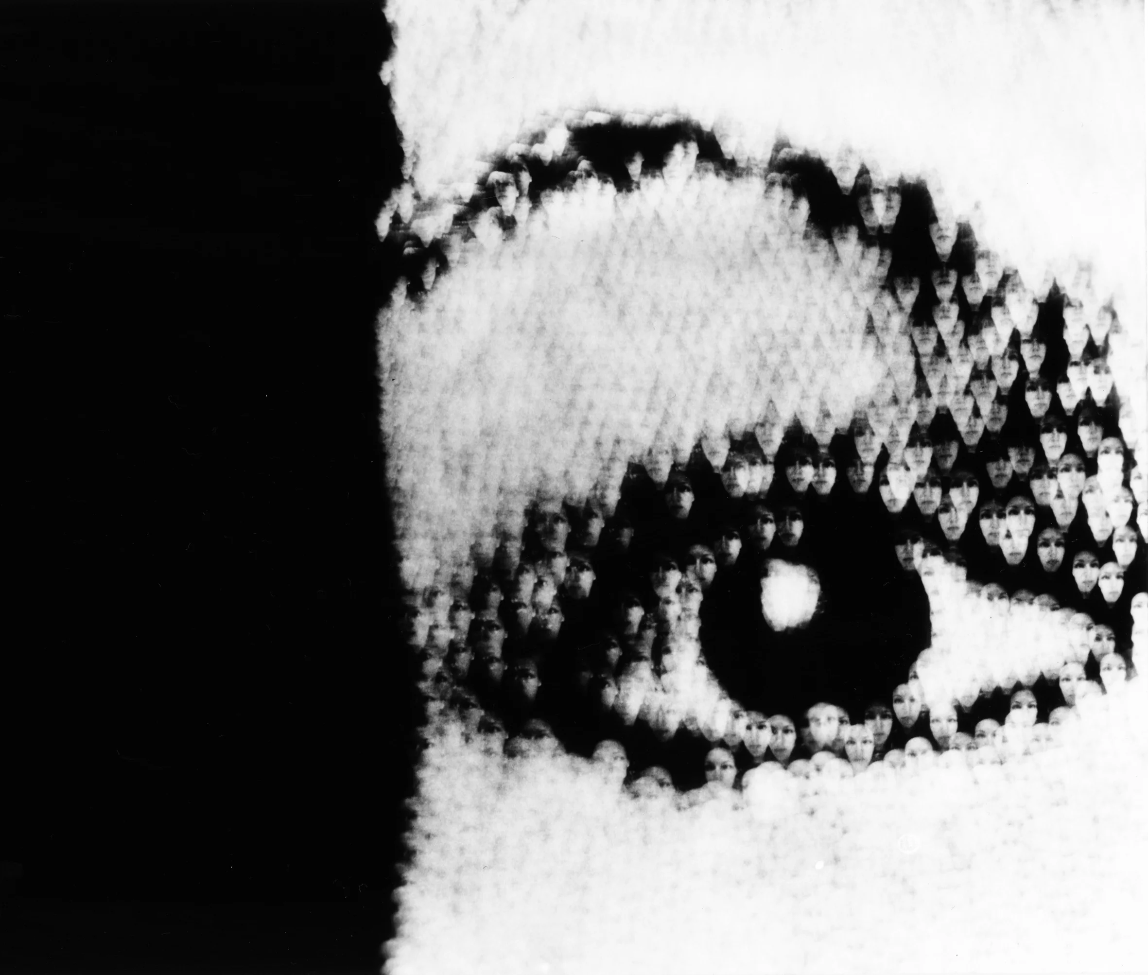 detail, baryta contact print