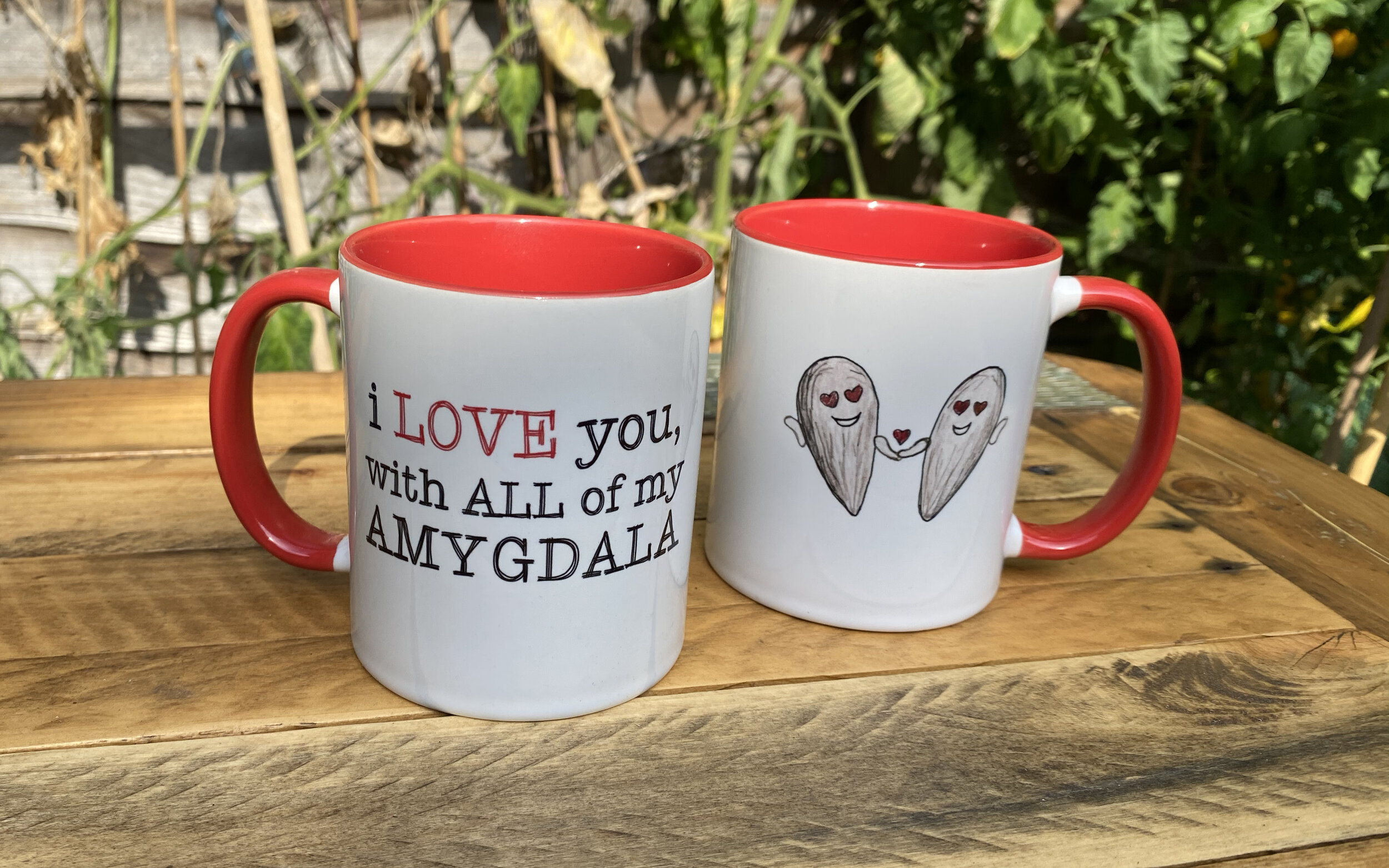 Love Amygdala Mug