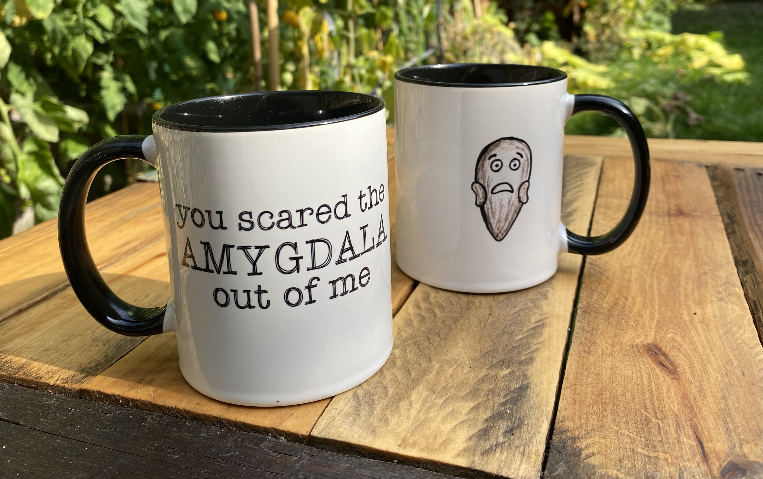 Scared Amygdala Mug