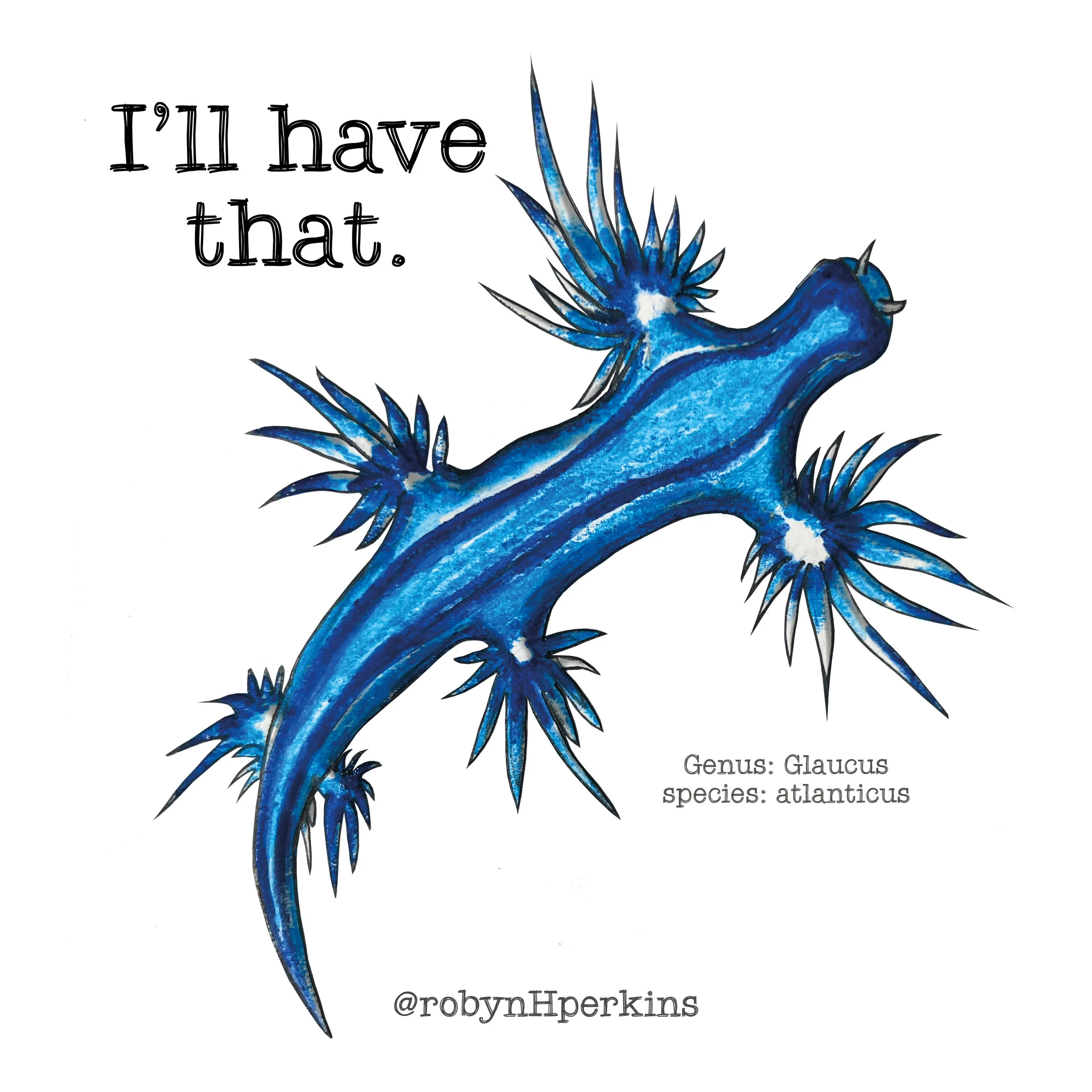 Nudibranch Coaster (Glaucus atlanticus)