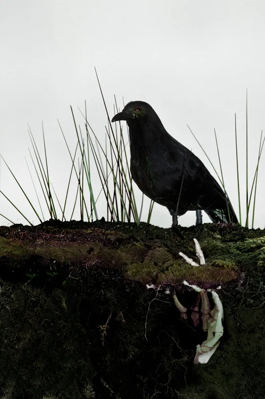 Silence of the Grave a Reykjavik Murder Mysteries (No. 2) by Arnaldur Indridason