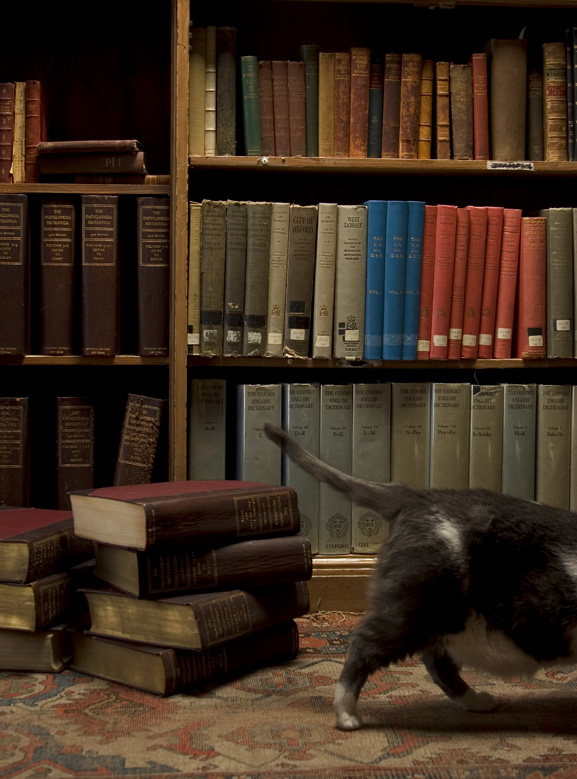Time was Soft There, A Paris Sojourn at Shakespeare & Co, a memoir by Jeremy Mercer