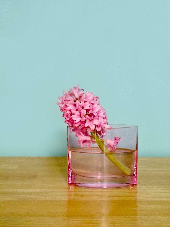 Hyacinth
