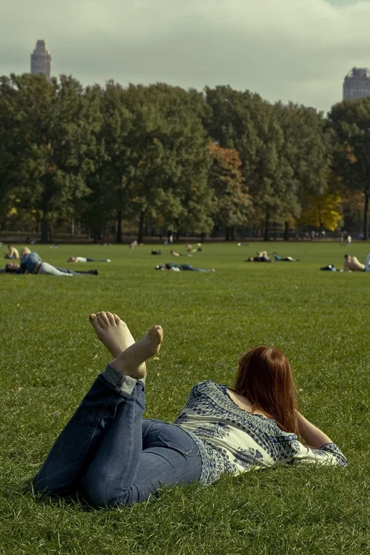 the Great Lawn
