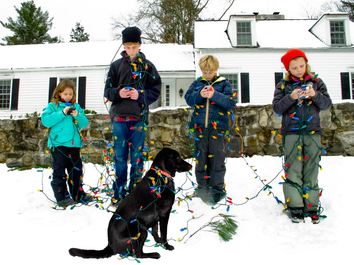 Christmas card, 2014 