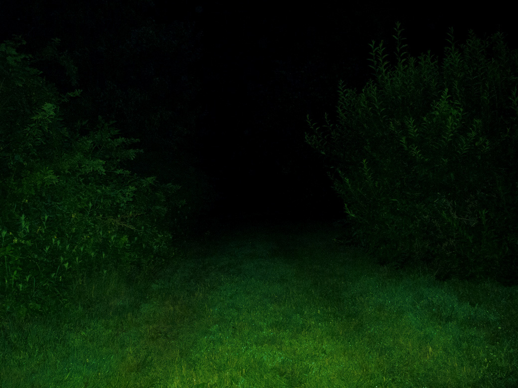 Night Garden Series