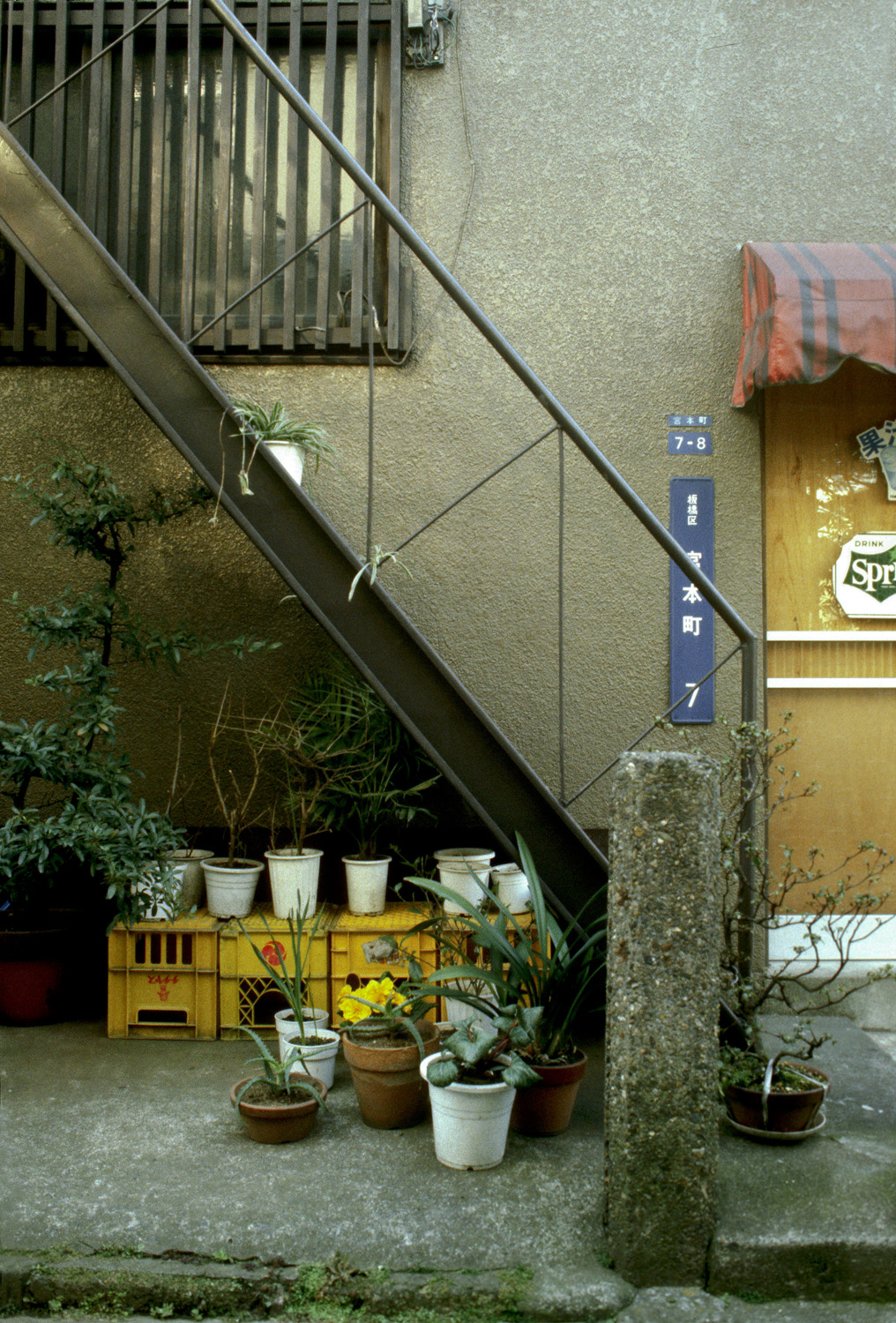 tokyo17.jpg