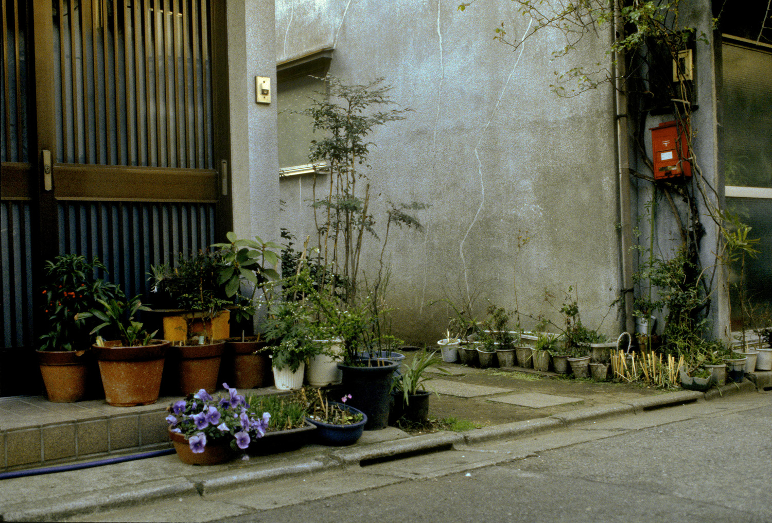 tokyo18.jpg
