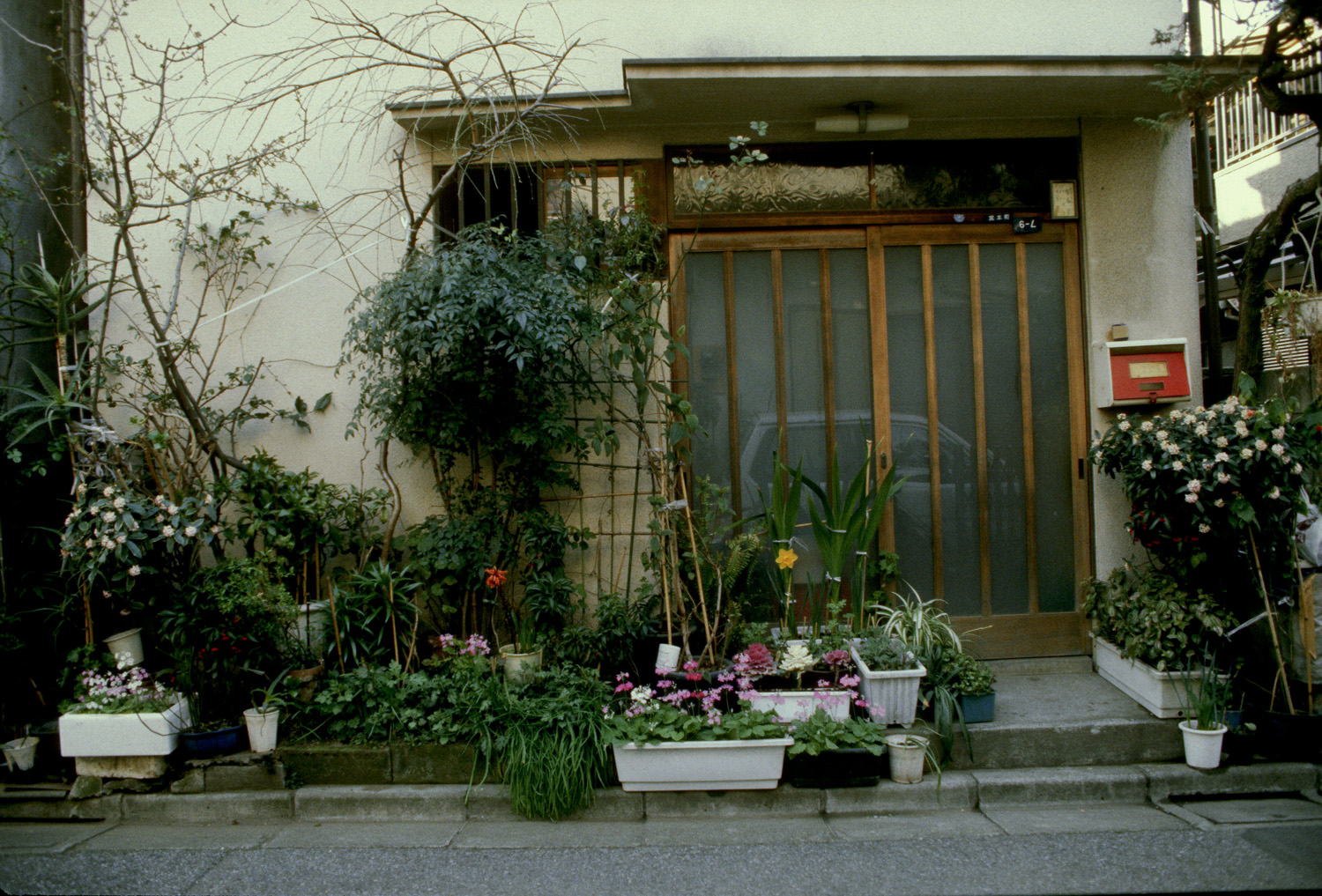 tokyo19.jpg