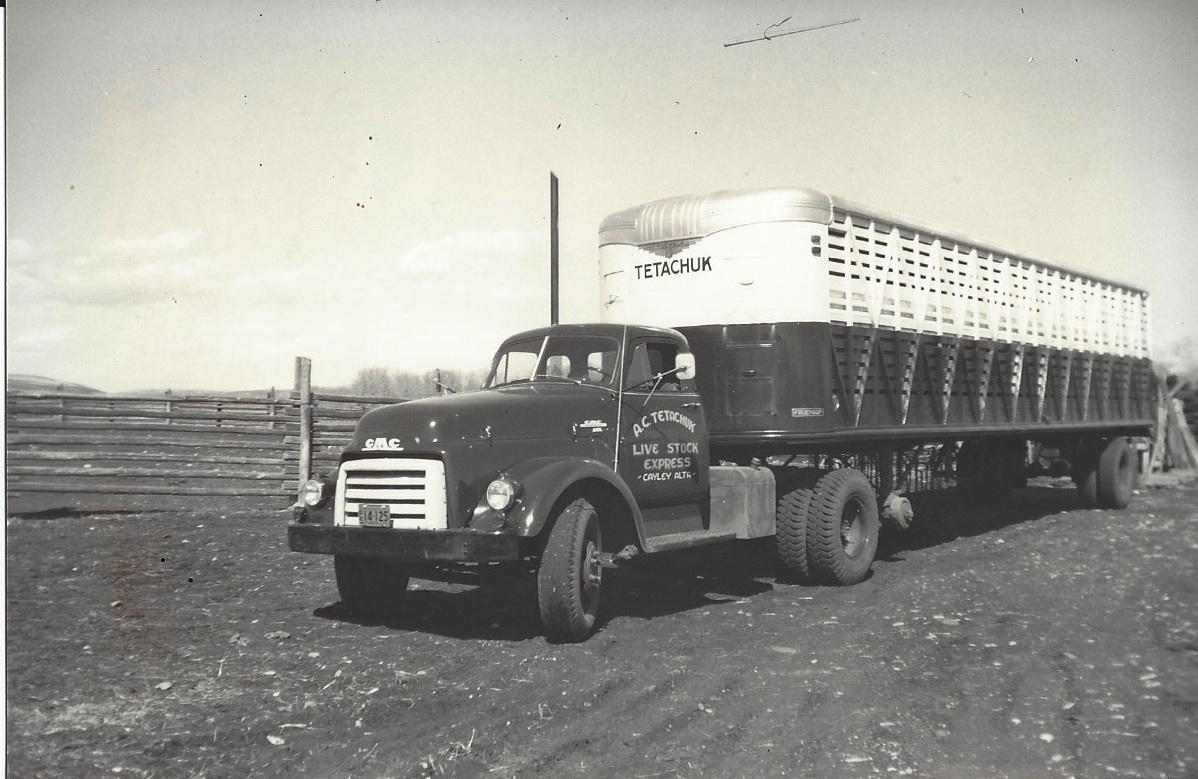 Old cattle liner 5 .jpg