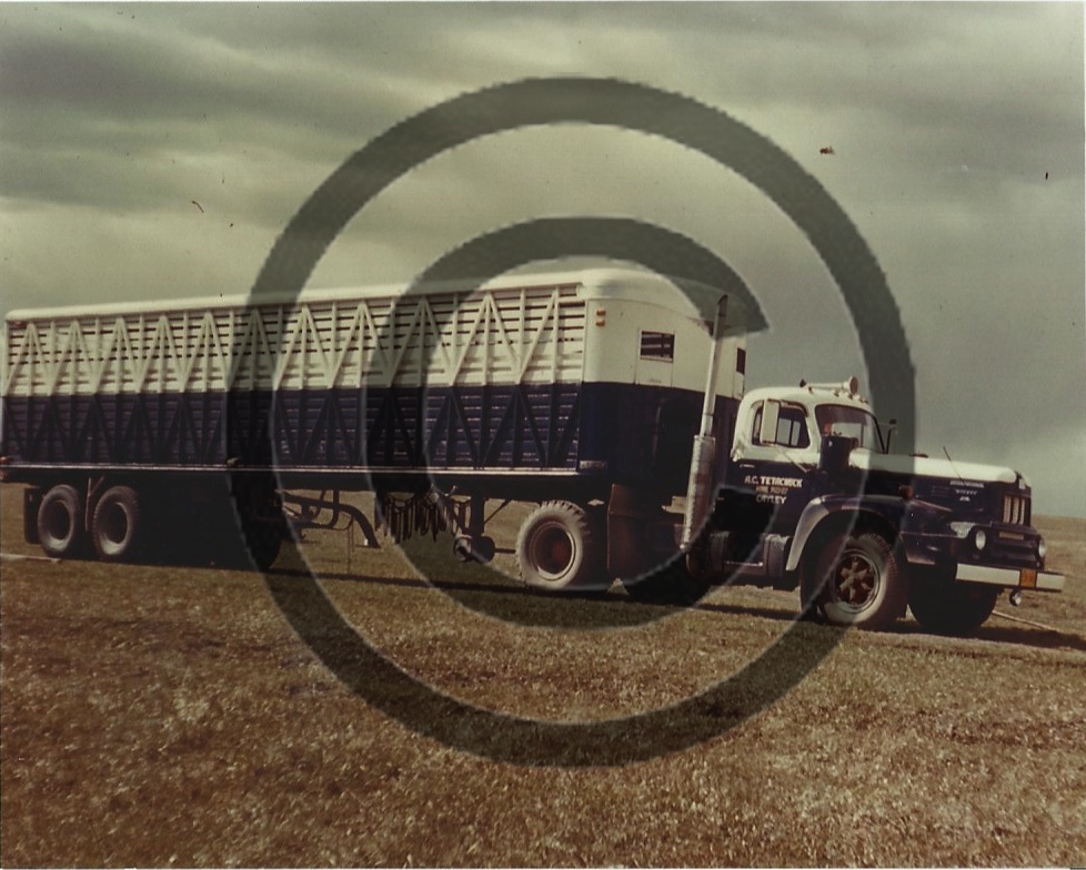 BW old cattle liner copyright.jpg