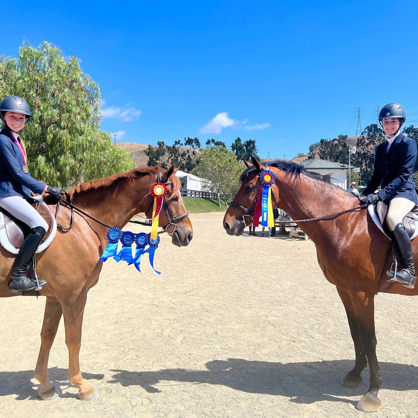 A great weekend for all our horses and riders! #johnberneyequestrian