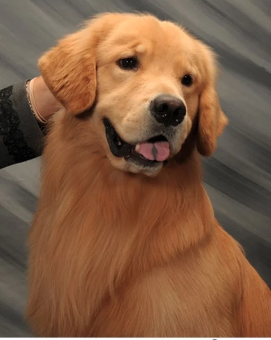 Shiloh
