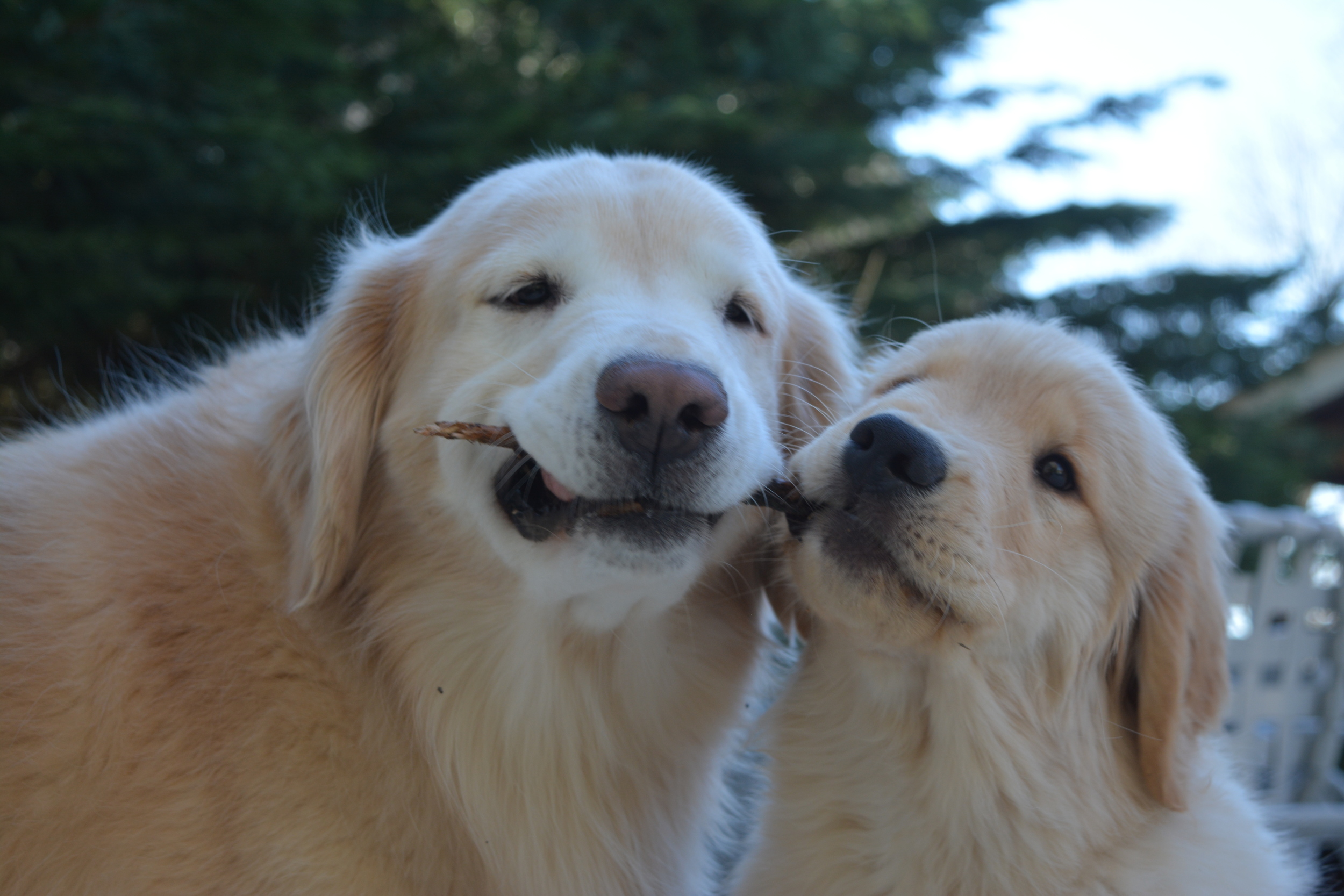 Morgan and Jilly.jpg