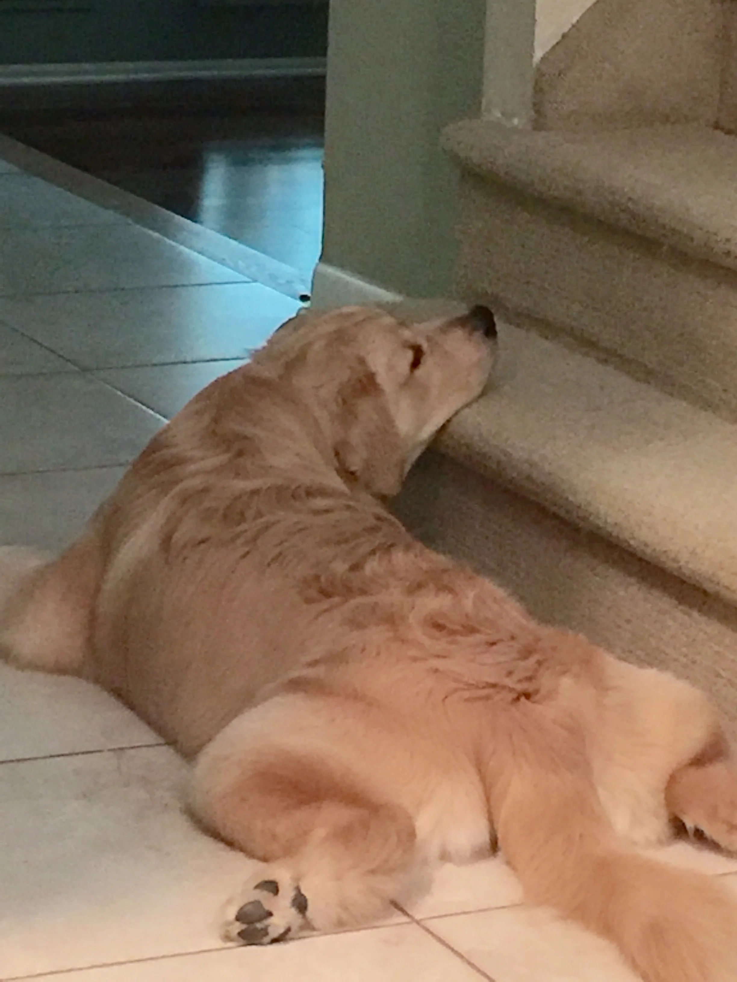 FullSizeRender 2.jpg