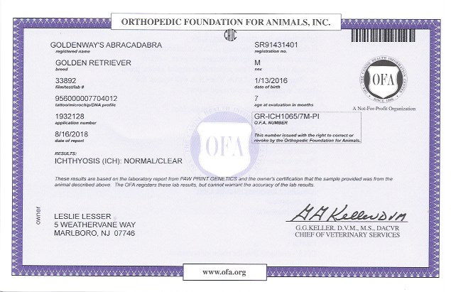 Morgan Ichtyosis.png