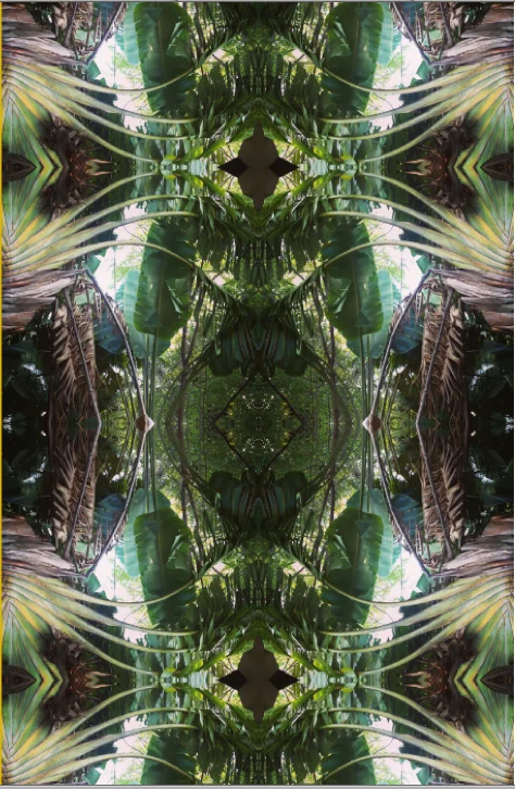 %22Jungle Medallions,%22 2013, Wallpaper, 3 sheets of 2'x8'.jpg