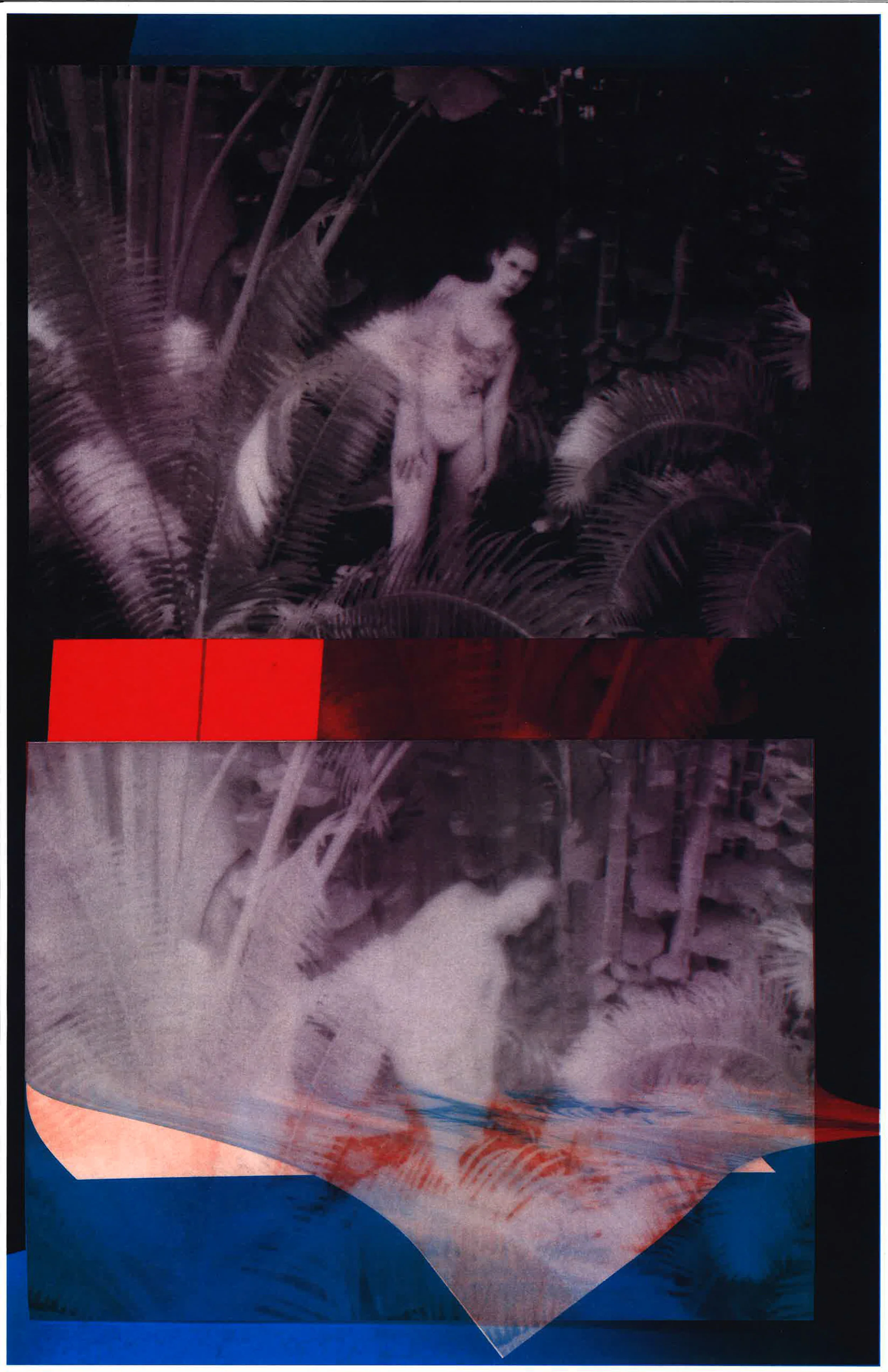 Jungle Boogie, 2018