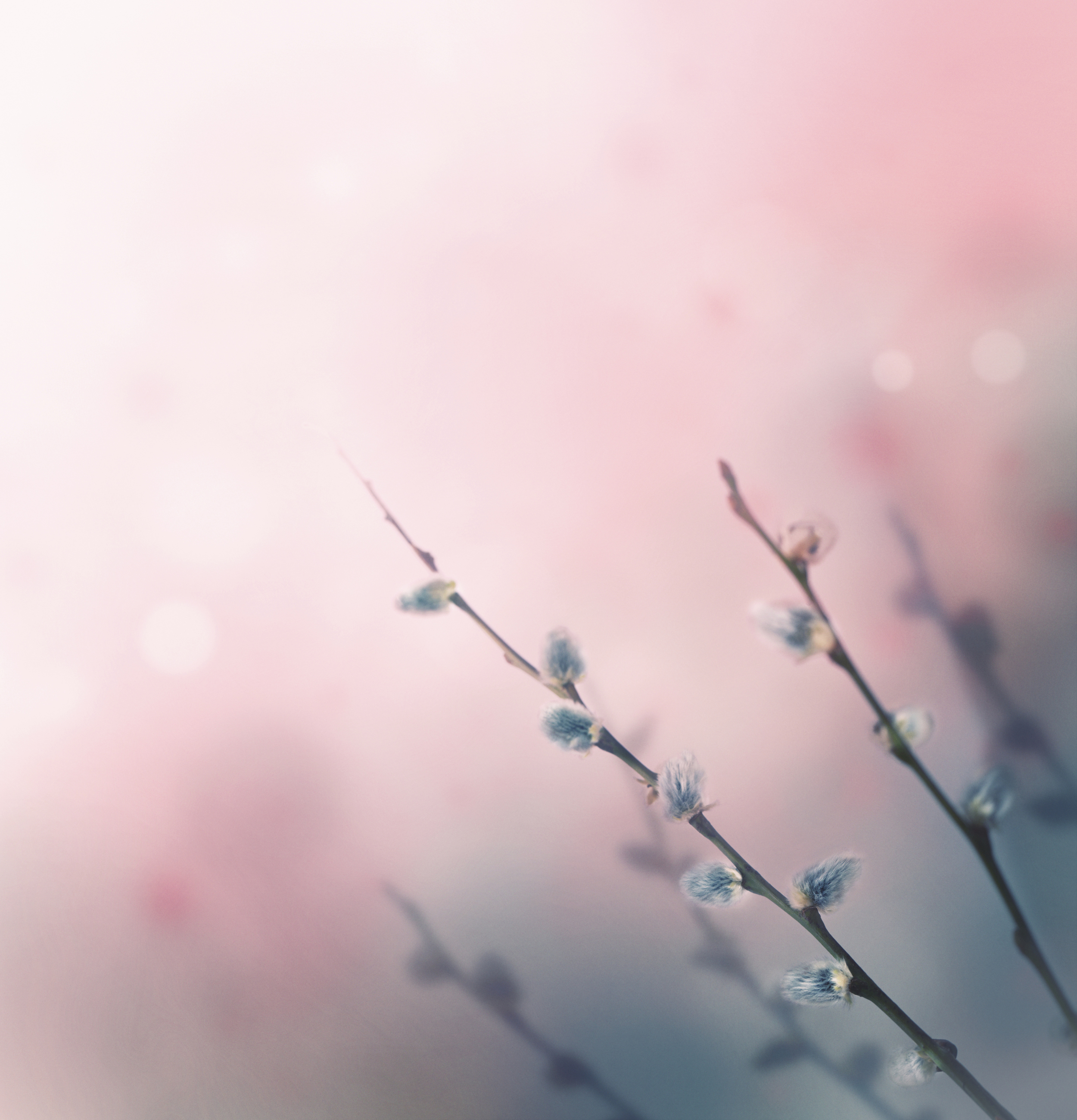 Photo by mythja/iStock / Getty Images
