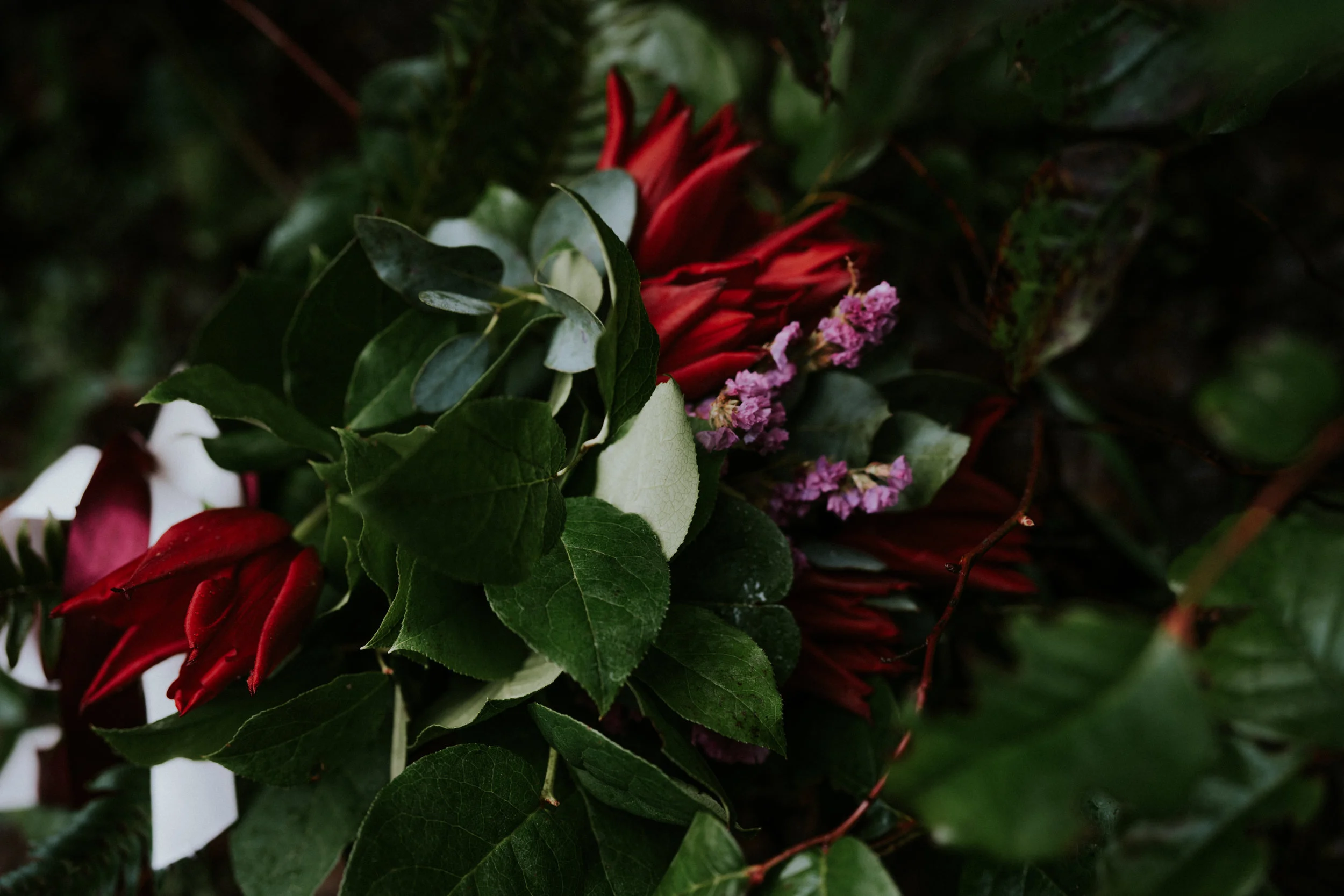 boho wedding photography seattle