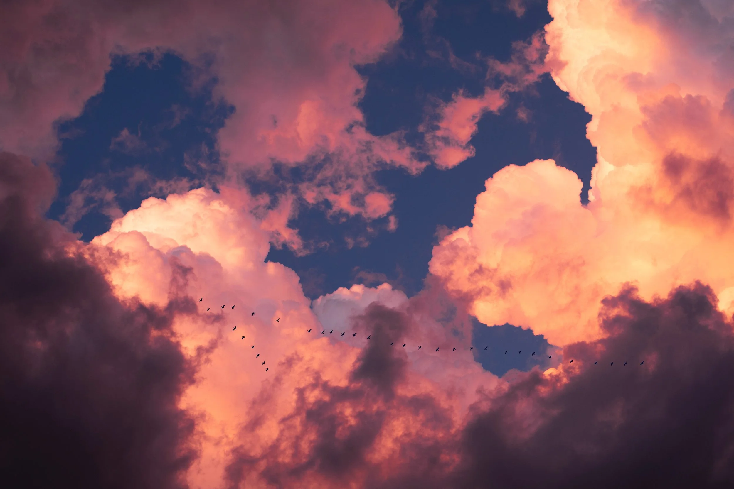 This is kinda f*cked up…