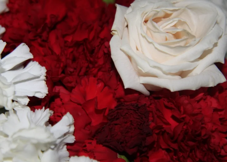 Do we really have the power of choice? Part Two.