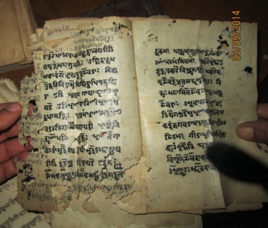 An example of a Sanskrit manuscript from Kashmīr, partially eaten by ants.