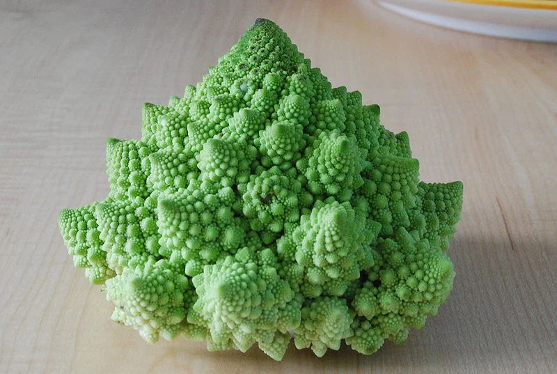 A naturally-occurring fractal pattern: the Romanesco cauliflower. The inflorescence (the bud) is self-similar in character, with the branched meristems making up a logarithmic spiral. In this sense the bud's form approximates a natural fractal; each bud is composed of a series of smaller buds, all arranged in yet another logarithmic spiral. The pattern of the whole is in every part.