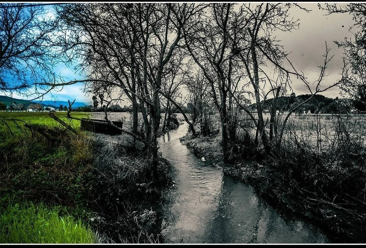 Reality is a co-creation