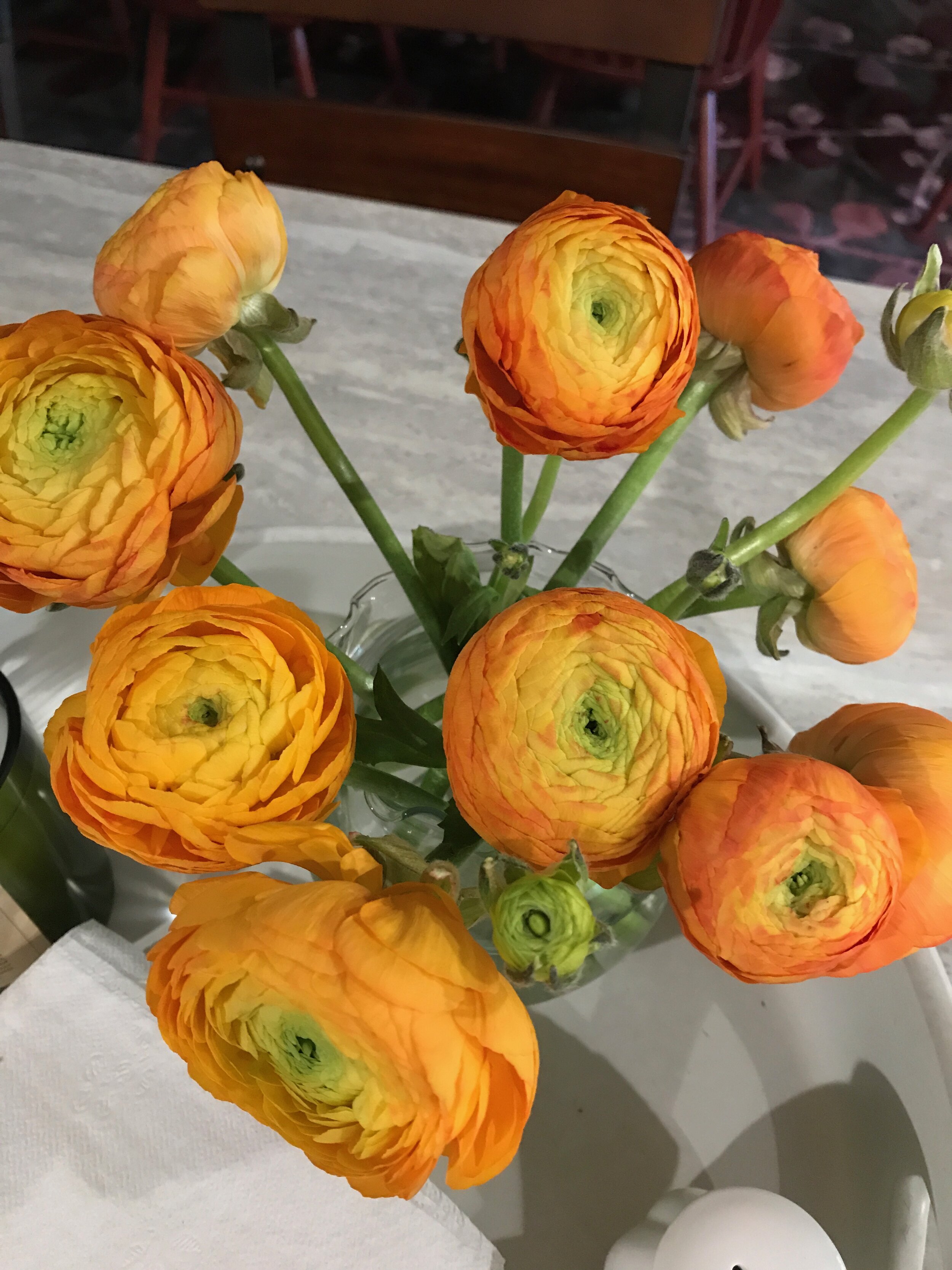 Ranunculus