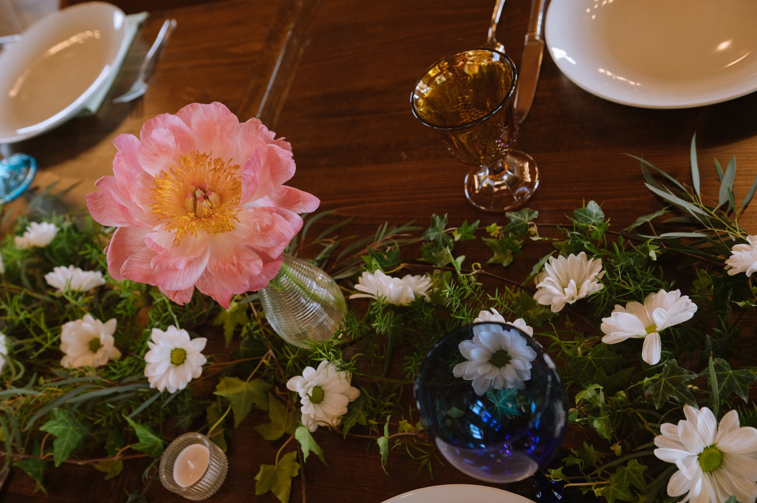 peonies and daisies