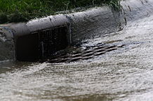 “Storm Drain” image by Robert Lawton .