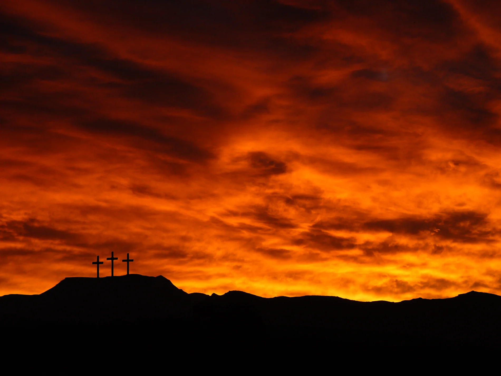 Angie's Corner: June 2015