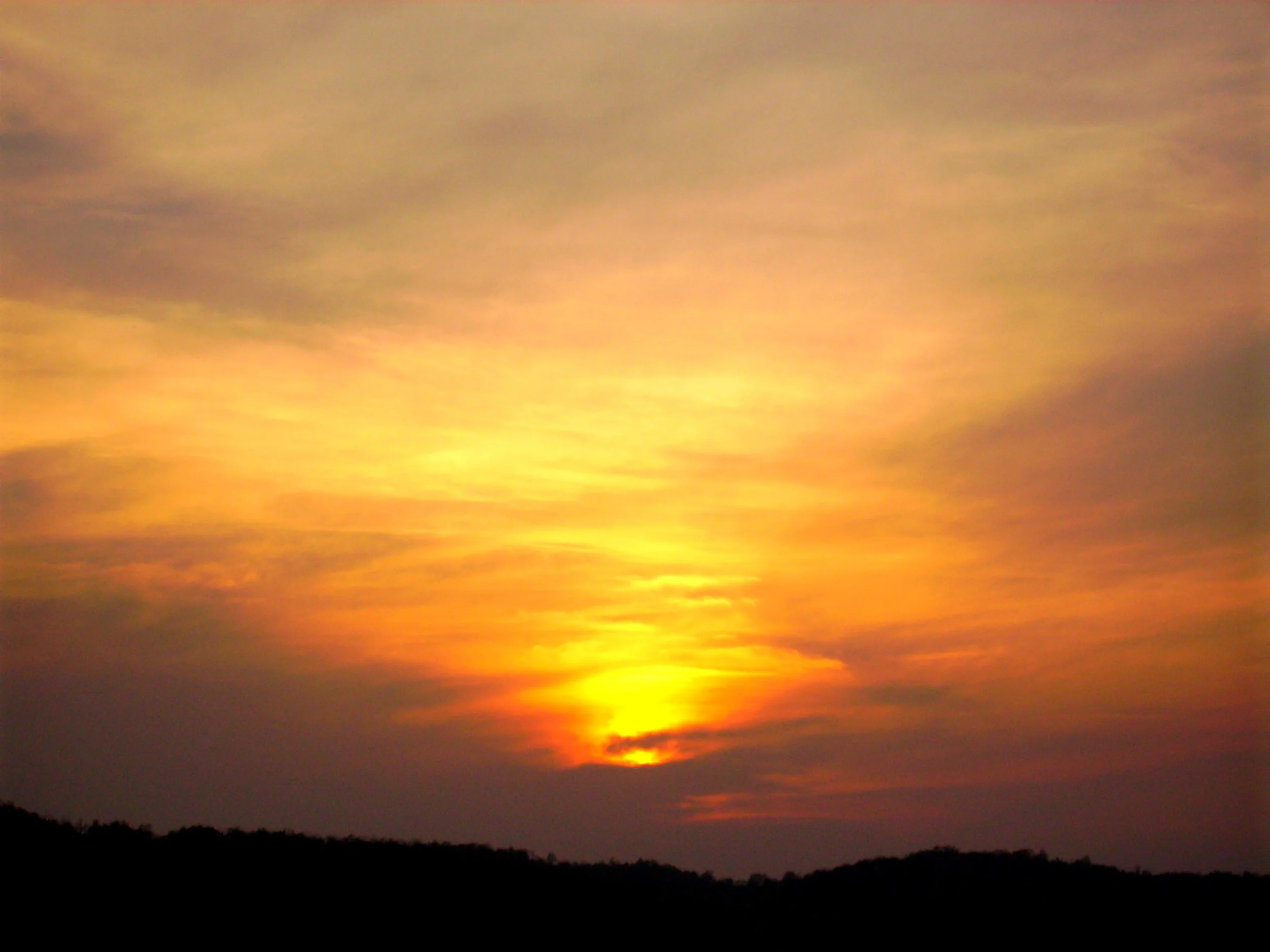 Angie's Corner: July 2015