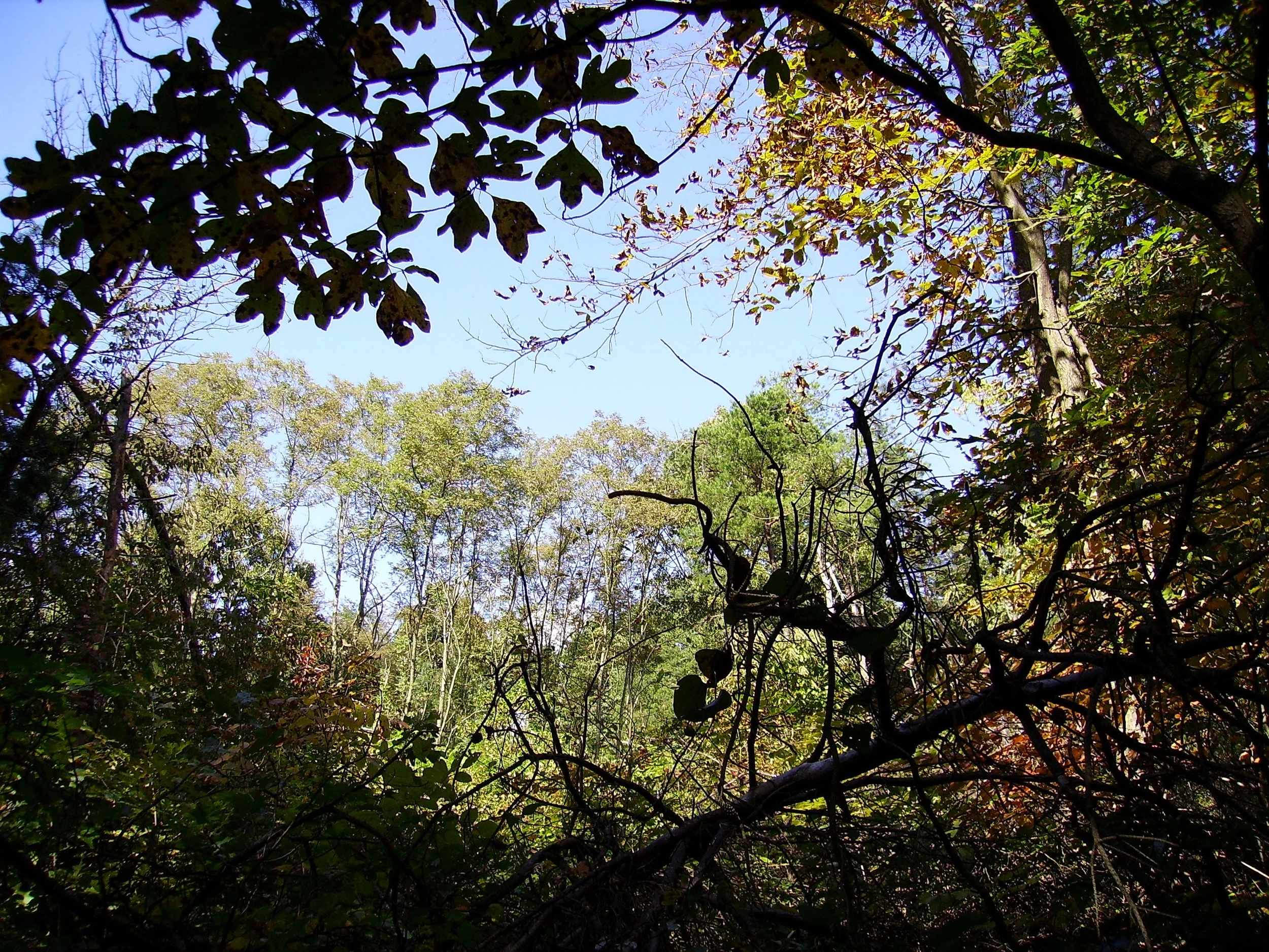 Pastor's Page: September 2015