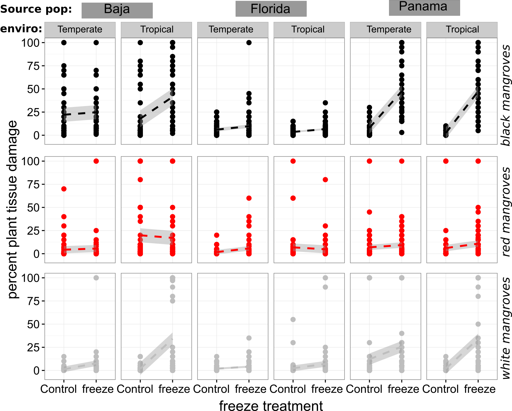 Preliminary results demonstrate that population from core and range edges show differential genetic and plastic components of freeze tolerance. Plants from Florida are the most resistant to freeze damage supporting a genetic component to freeze tolerance in these species. Interesting while Florida and Panama white and black mangroves did not tolerate freezes better when then grew in a temperate environment, populations from the Baja range limit showed clear plasticity in freeze tolerance as a result of growing in a temperate environment.