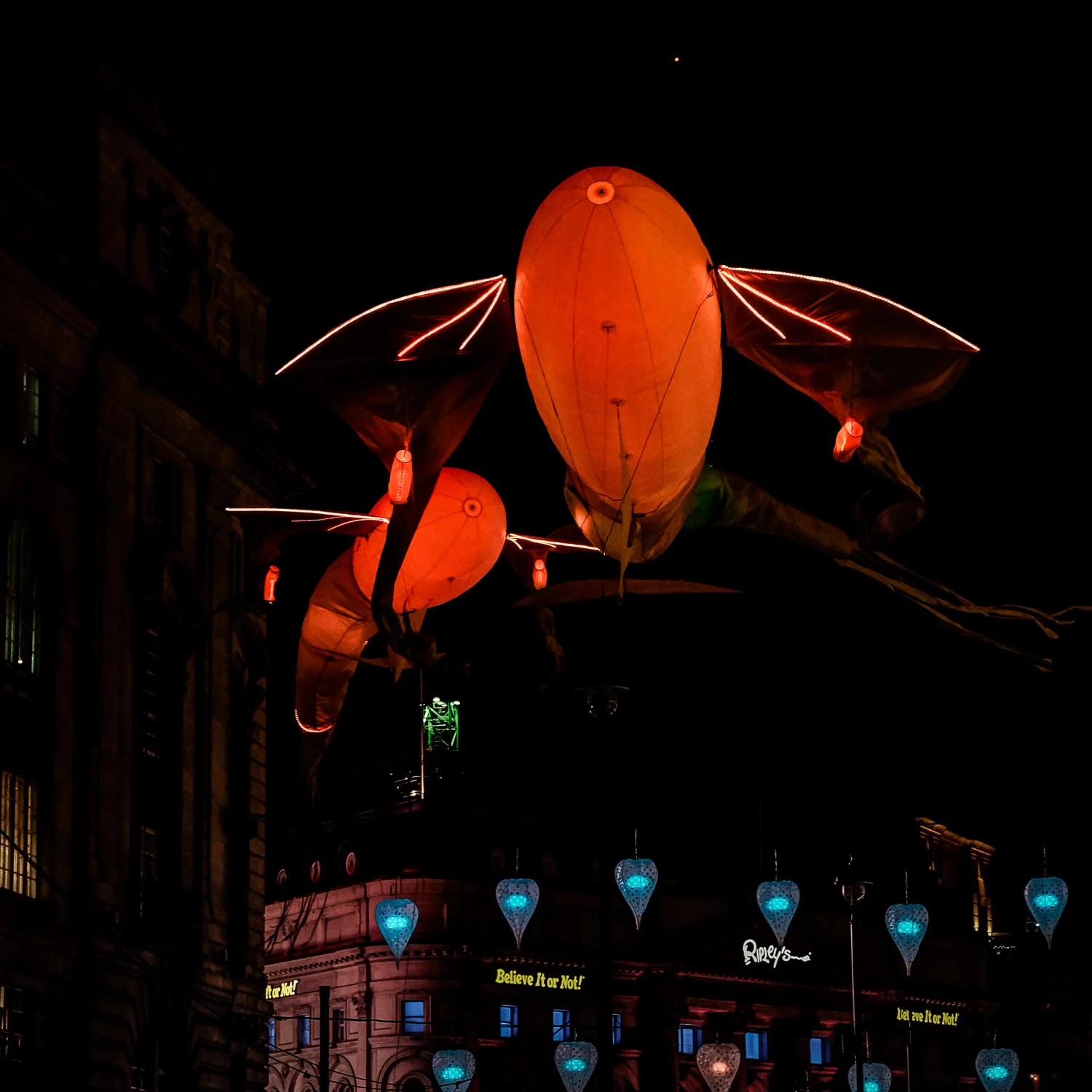 Les Lumineoles, Porte par la vent