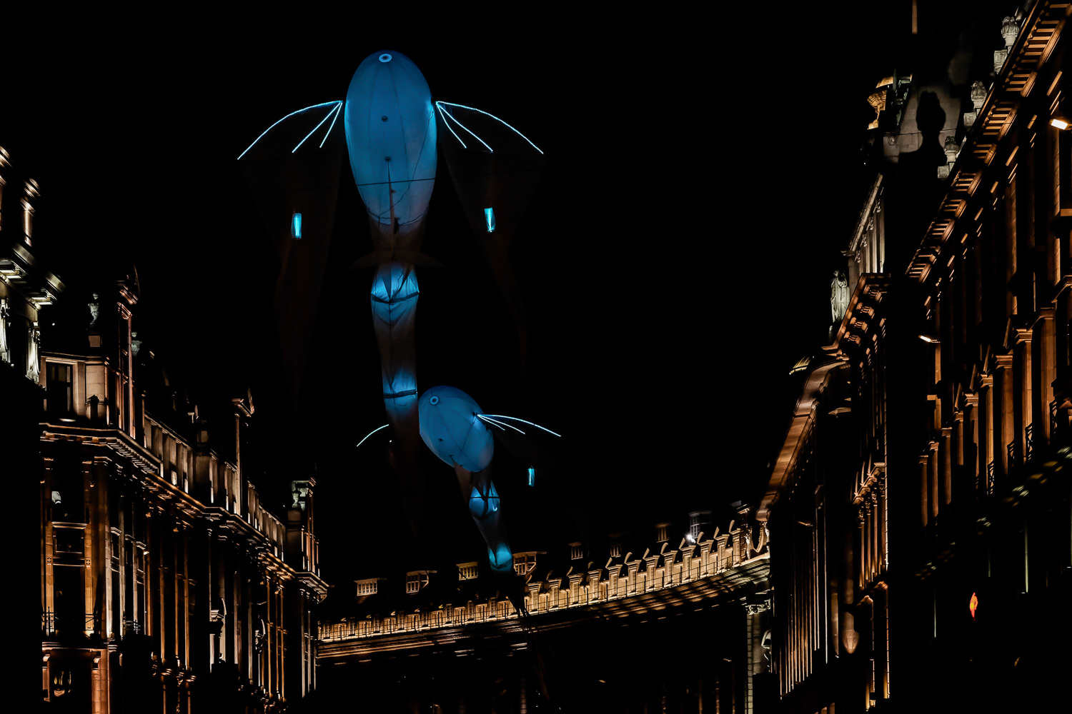 Les Lumineoles, Porte par la vent