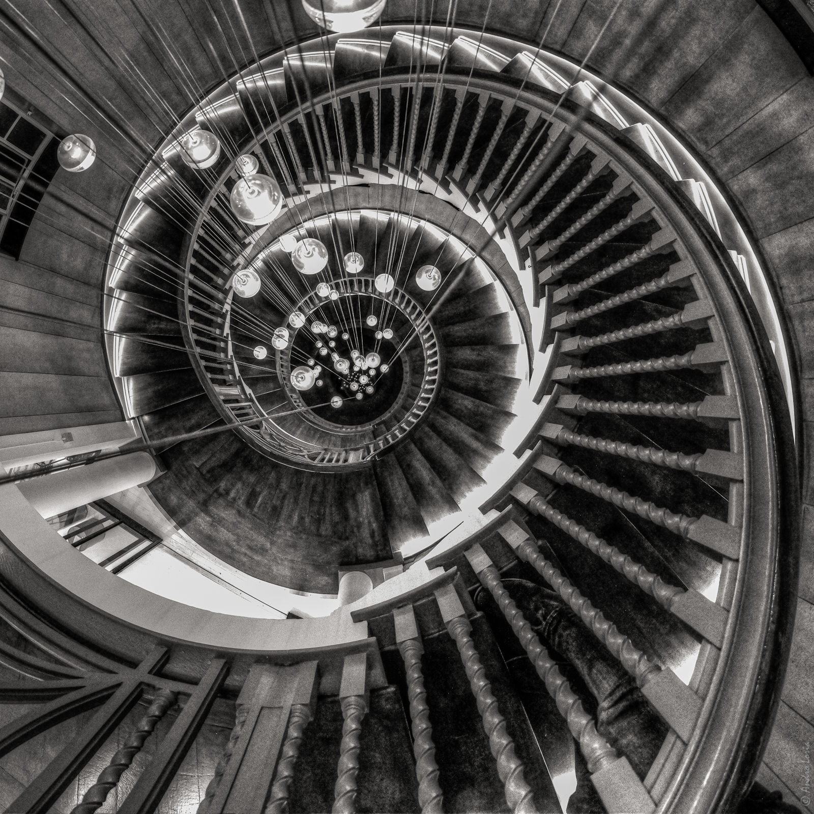 8mm f5.6 1/125 ISO 3200