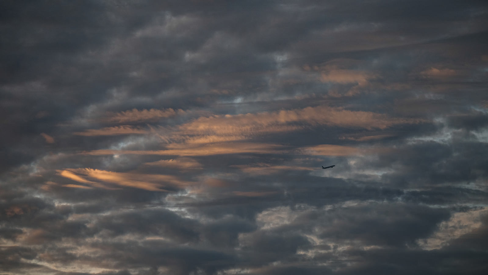 Time to fly. ISO200 50-140mm f2.8 1/640s
