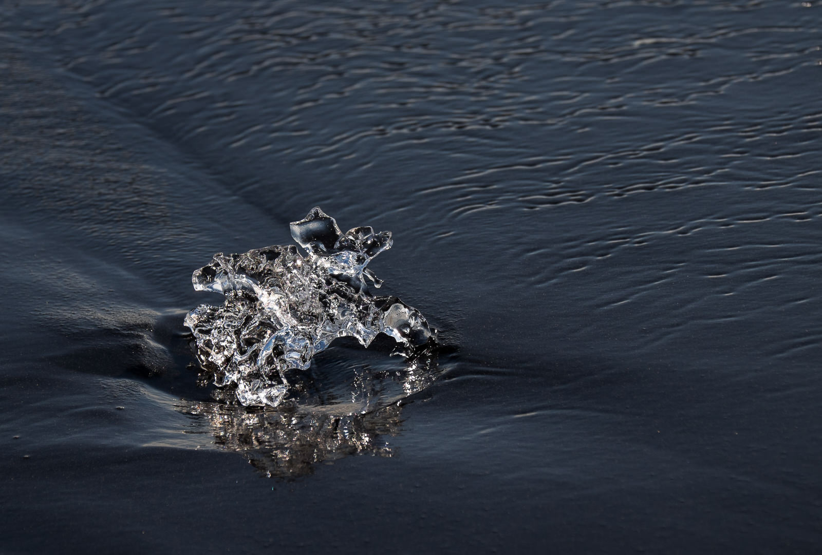 Ice creature, Jökulsárlón