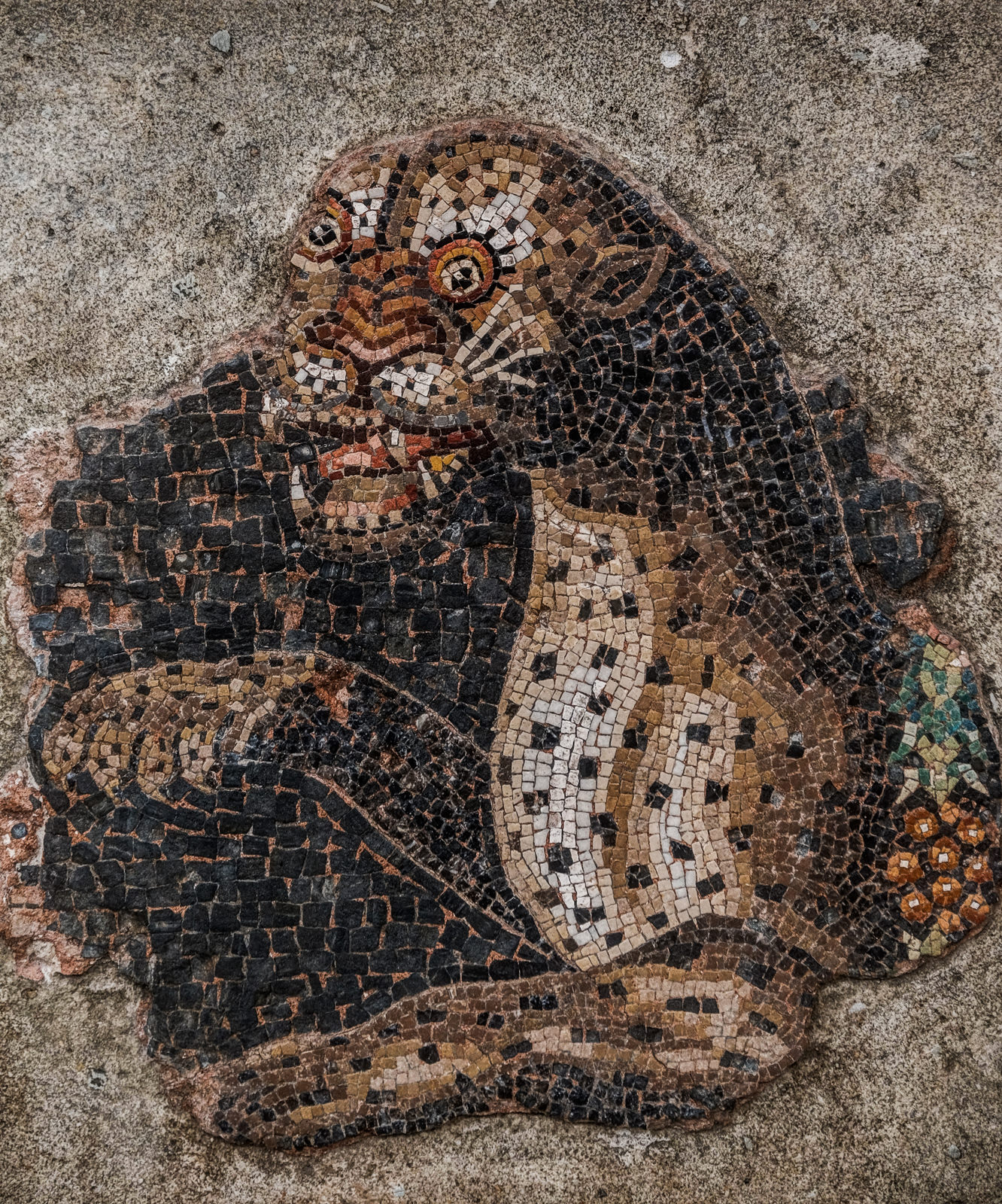 Fragment of a mosaic, Delos