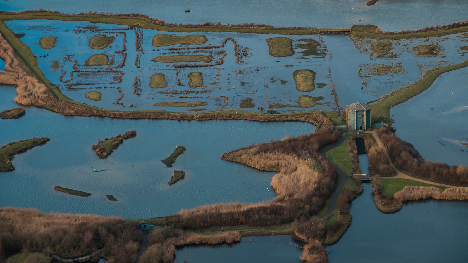 Barnes Wetland Centre; X-T2 ISO640 50-140mm f5.0 1/1000s