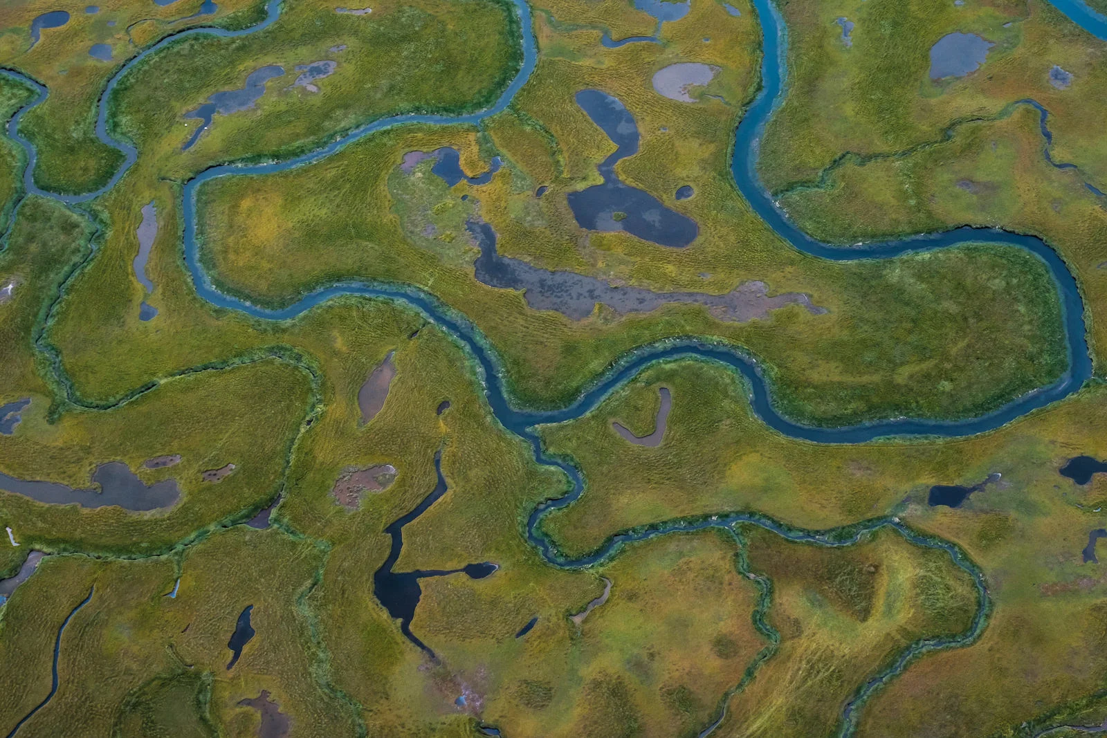 Nature's synapse or a giant cobra's head? things can get pretty interesting from above. image taken from a small airplane (XF 16-55mm f2.8 at 35mm 1/1000 f5.6 ISO800)